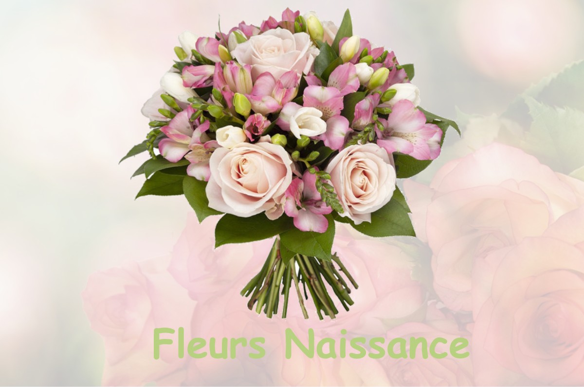 fleurs naissance CHASNAY